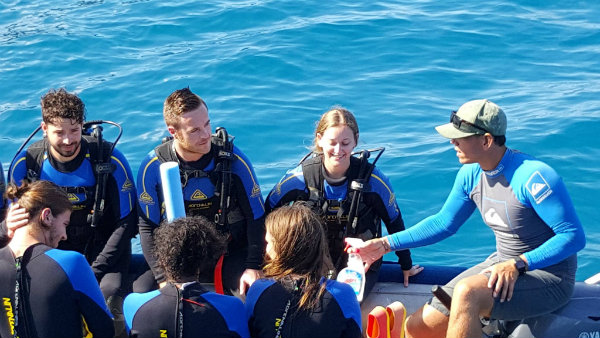 Whitsundays צלילות ושייט בוויטסנדס