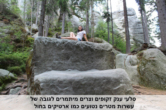 אדשפח-סקאלי-צכיה