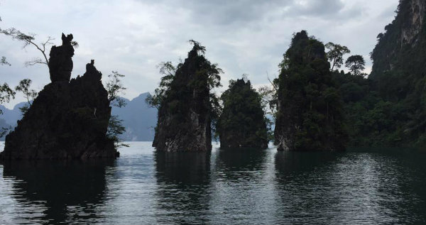 בשמורת קאו סוק ואגם cheow lan