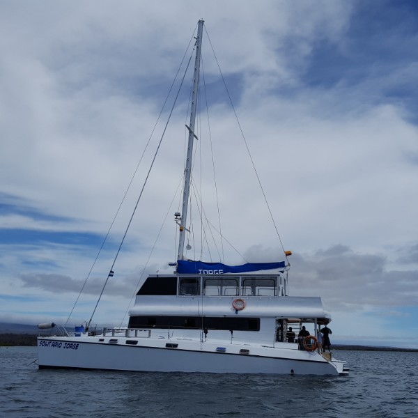 גלאפוס שייט