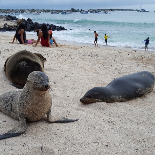 גלפגוס עונה מומלצת
