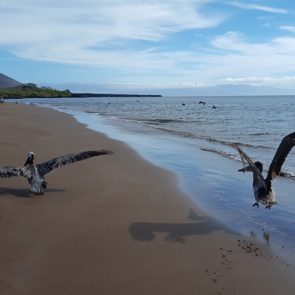 טיול לגלאפגוס