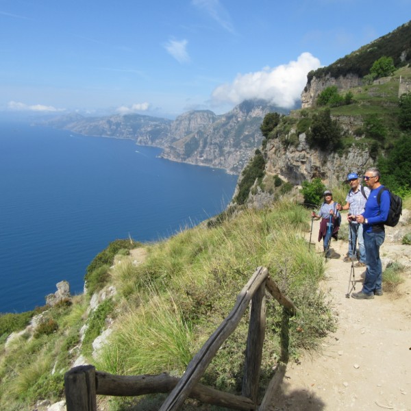 פוזיטנו המלצות