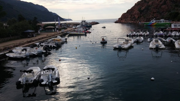 פורטו קורסיקה