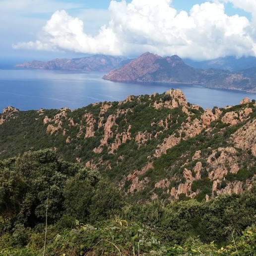 קורסיקה טיול