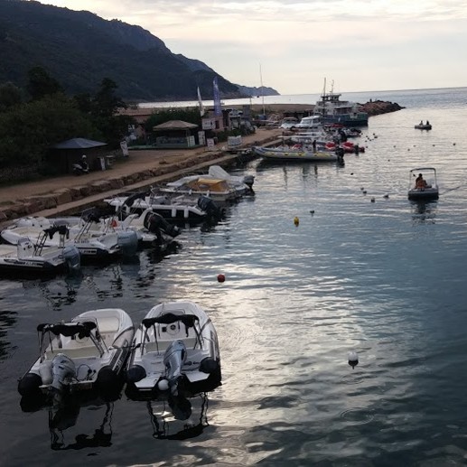 קורסיקה טרק