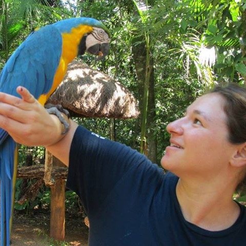 רביד לזינסקי