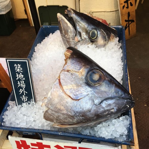 שוק הדגים צוקיגי טוקיו