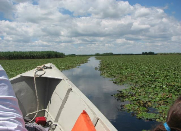 שייט ברומניה בדלתא