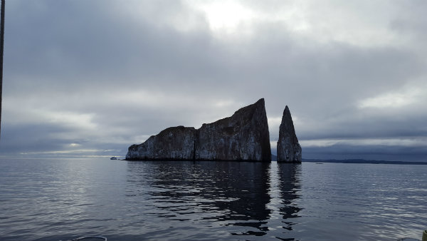 שייט לאיי גלפגוס