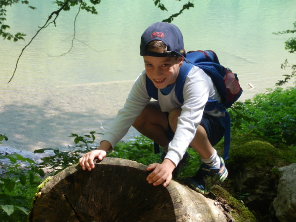 שמורת ביוגראד