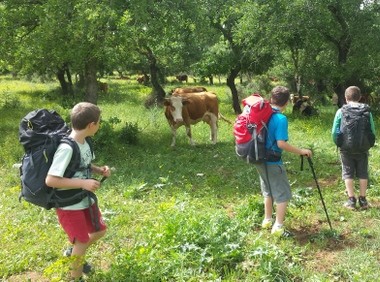 homepage-1