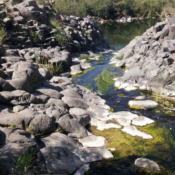 בריכת מפל בזויתן