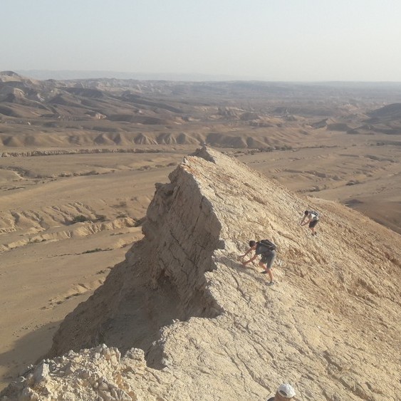 הר מסור מסלול מעגלי