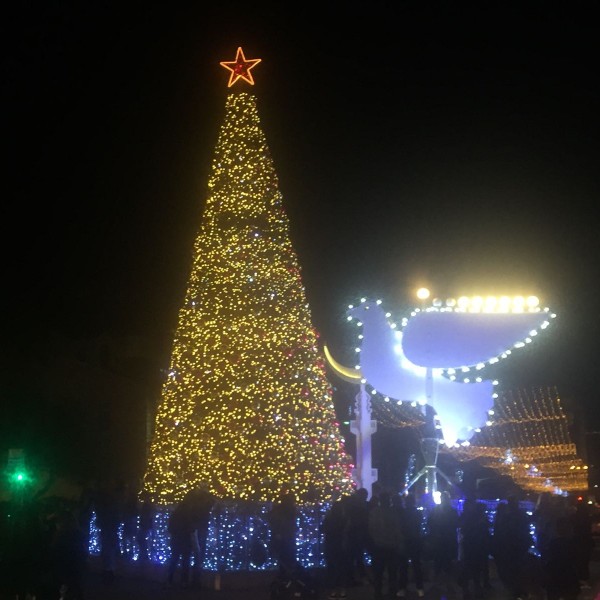 חג החגים בחיפה