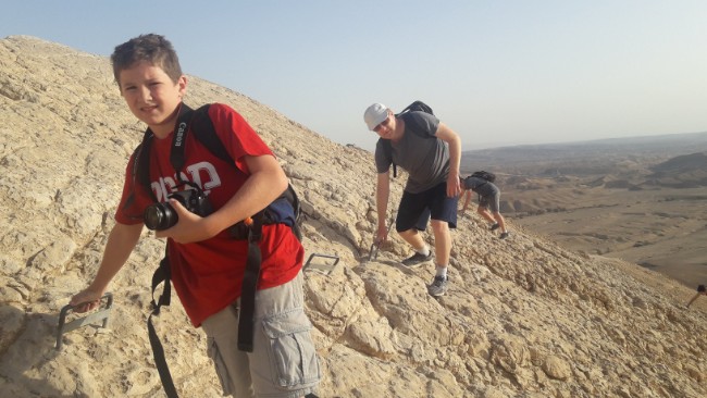 יואב בהר מסור