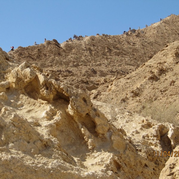 מסלול הסנפיר הגדול