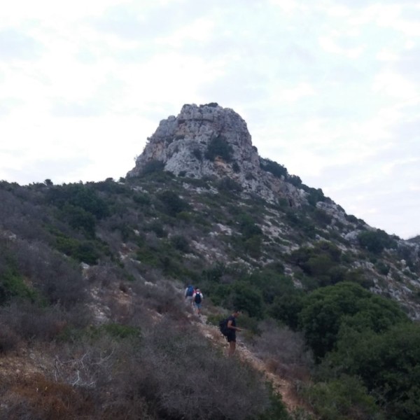 מערת אורנית בכרמל