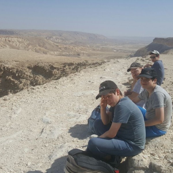 משפחת וינגרטן