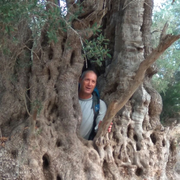 נחל אורנית מסלול בכרמל