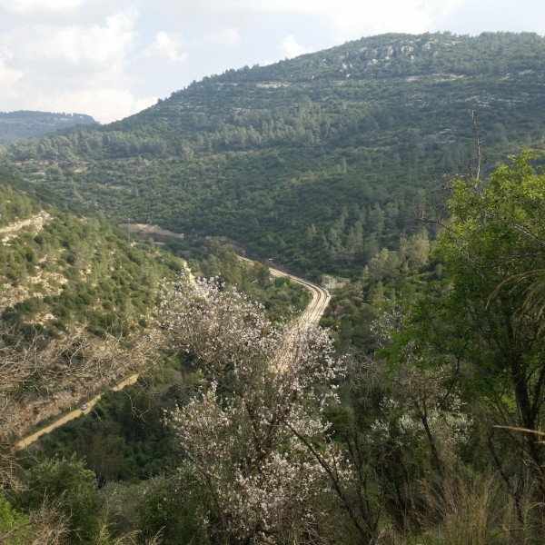 נחל קטלב תמונות