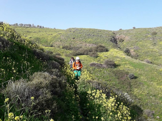 נחל תבור שביל עמק המעיינות