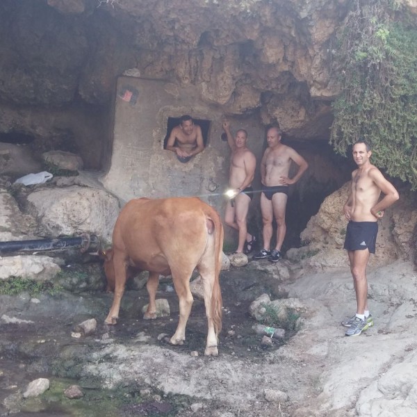 נקבת מים בכרמל
