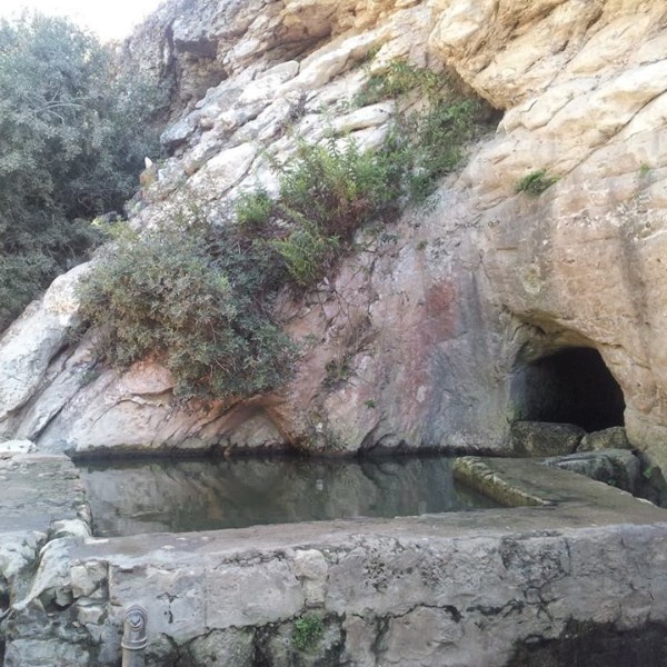 עין משוטטים