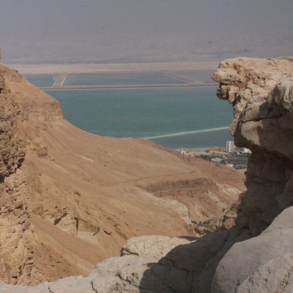 צוק תמרור מעגלי