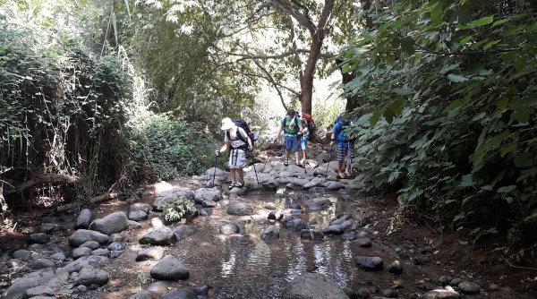 שביל ישראל נחל שניר