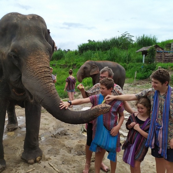 A Elephant Therapeutic Farm in Chang Mai
